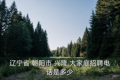 遼寧省 朝陽市 興隆 大家庭招聘電話是多少