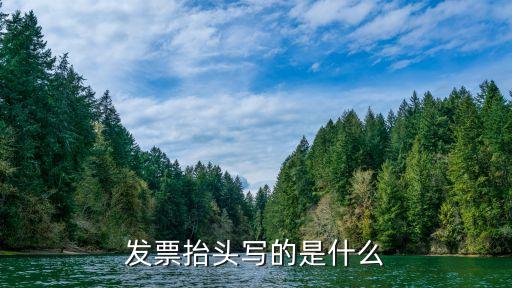 發(fā)票抬頭寫的是什么