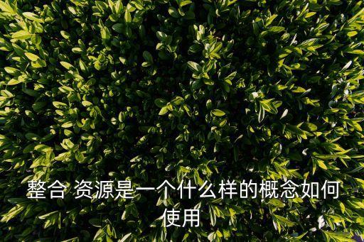  整合 資源是一個什么樣的概念如何使用