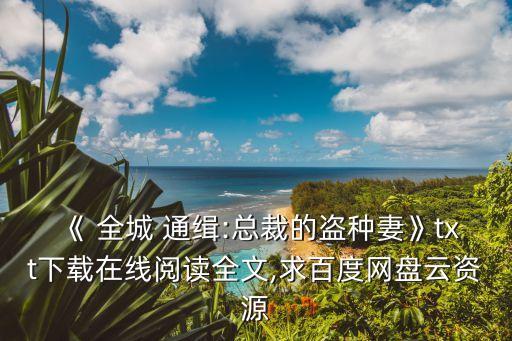 全城通緝
