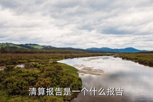 清算報(bào)告是一個(gè)什么報(bào)告