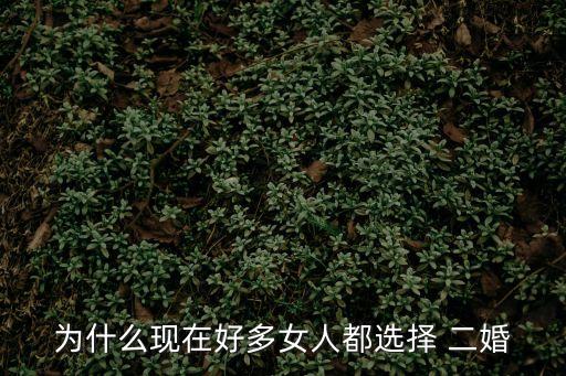 二婚
