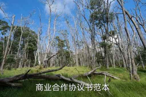 商業(yè)合作協(xié)議書范本