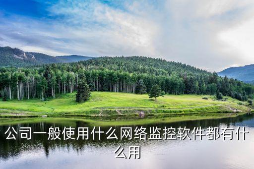 公司一般使用什么網(wǎng)絡(luò)監(jiān)控軟件都有什么用