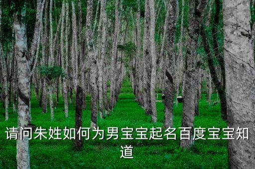 朱立明