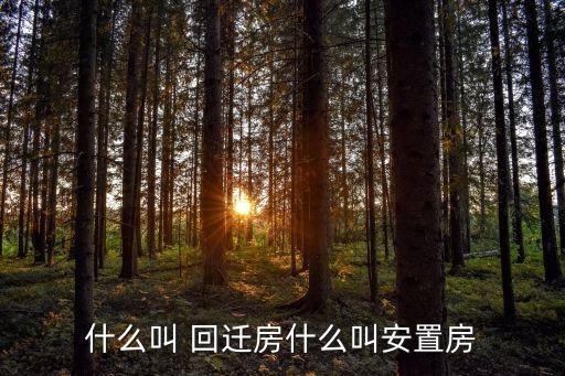 回遷房什么意思,農(nóng)村回遷房屬于什么產(chǎn)權(quán)