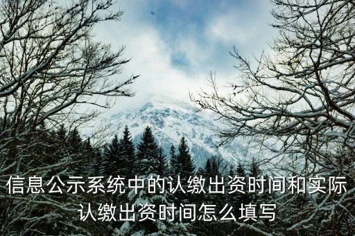 信息公示系統(tǒng)中的認(rèn)繳出資時(shí)間和實(shí)際認(rèn)繳出資時(shí)間怎么填寫