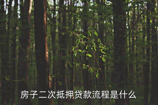 房子二次抵押貸款流程是什么