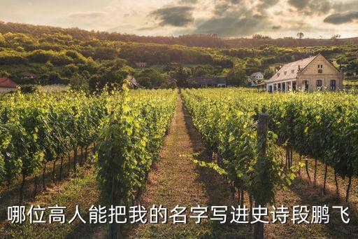 哪位高人能把我的名字寫進(jìn)史詩段鵬飛