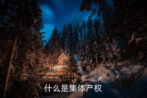 集體產(chǎn)權(quán)，什么是集體產(chǎn)權(quán)