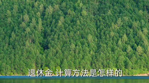 退休工資怎樣計(jì)算,公務(wù)員2023年退休工資怎樣計(jì)算