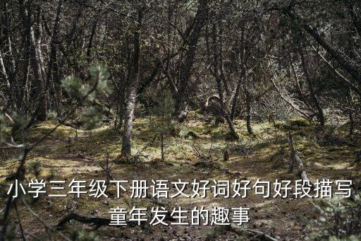 我的老師武春燕