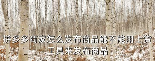 品多多商家，拼多多商家是怎么發(fā)布商品到拼多多店鋪的