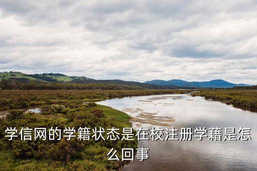 學籍狀態(tài)，學信網(wǎng)的學籍狀態(tài)是在校注冊學藉是怎么回事