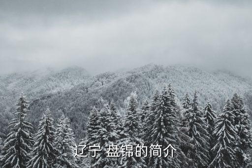 盤錦是哪個省,遼寧盤錦市簡介