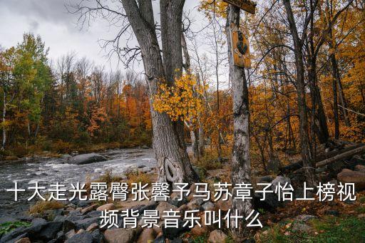十大走光露臀張馨予馬蘇章子怡上榜視頻背景音樂(lè)叫什么