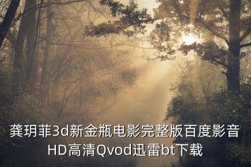 龔玥菲3d新金瓶電影完整版百度影音HD高清Qvod迅雷bt下載