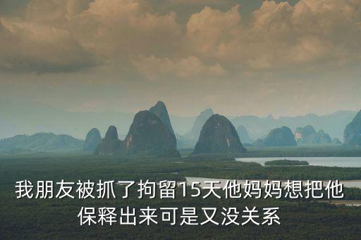 我朋友被抓了拘留15天他媽媽想把他保釋出來(lái)可是又沒(méi)關(guān)系