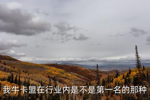 我?？嗽谛袠I(yè)內(nèi)是不是第一名的那種