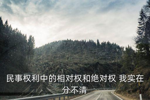民事權(quán)利中的相對權(quán)和絕對權(quán) 我實在分不清
