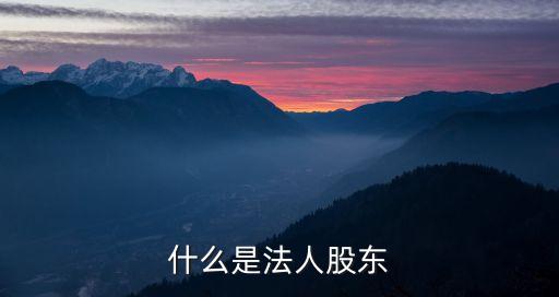 什么是法人股東