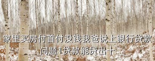 家里買房付首付沒錢我爸說上銀行貸款問題1貸款能貸出十