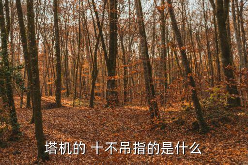 十不吊