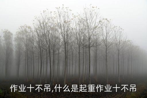 起重作業(yè)十不吊,什么是起重作業(yè)十不吊