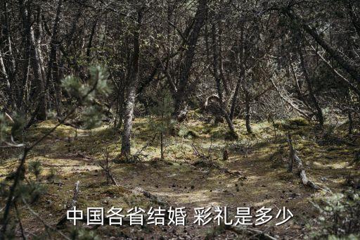海南彩禮