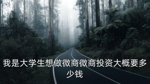 我是大學(xué)生想做微商微商投資大概要多少錢(qián)