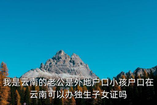 獨(dú)生子女證，云南省辦獨(dú)生子女證有什么好處