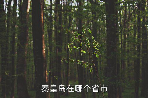  秦皇島在哪個省市