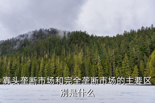 壟斷市場，什么是市場壟斷