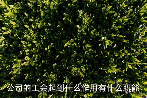 工會主要職責(zé)，工會負(fù)責(zé)什么工作呀