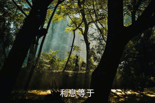 利息等于，利息等于
