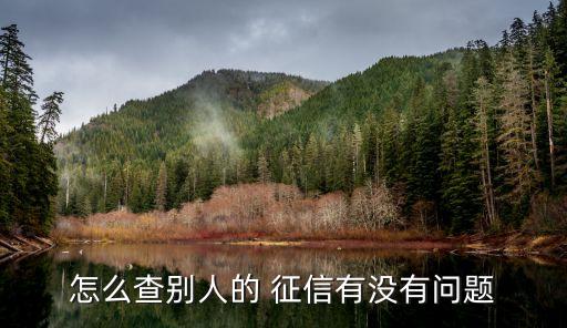怎么查別人的 征信有沒有問題