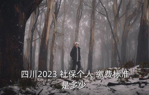 四川2023 社保個(gè)人 繳費(fèi)標(biāo)準(zhǔn)是多少