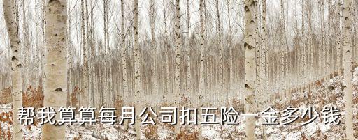 幫我算算每月公司扣五險(xiǎn)一金多少錢