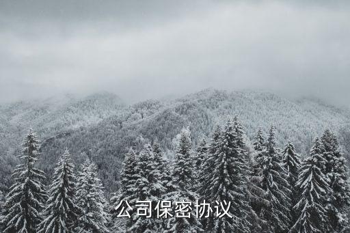 簡單保密協(xié)議范本，公司保密協(xié)議