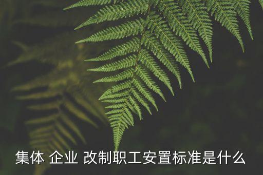 集體企業(yè)改制
