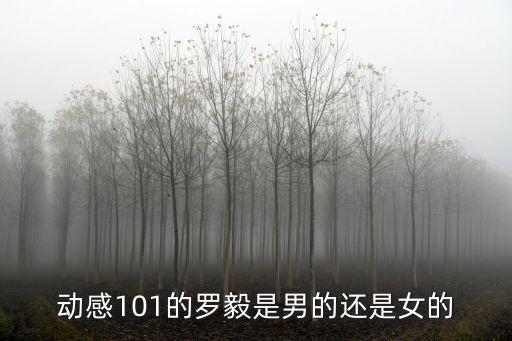 動感101的羅毅是男的還是女的