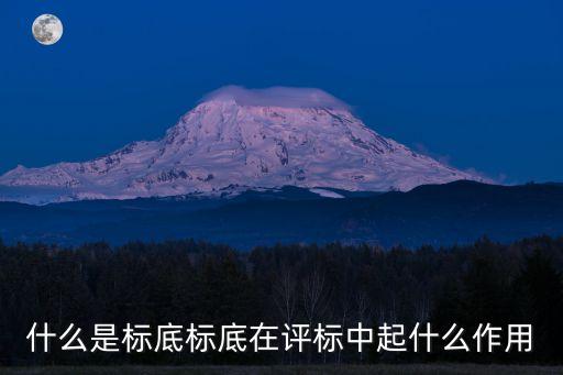 標底，什么是標底作用是什么