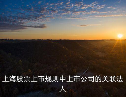 上海股票上市規(guī)則中上市公司的關(guān)聯(lián)法人