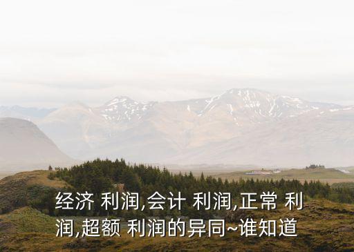 經(jīng)濟利潤