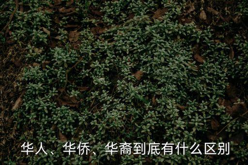華人指的是什么人,華人算不算中國人