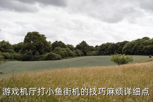 游戲機廳打小魚街機的技巧麻煩詳細點