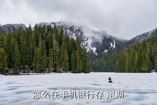 定期存款怎么存,農業(yè)銀行APP定期存款怎么存