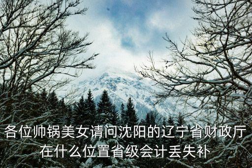 遼寧省財(cái)政廳，遼寧省財(cái)政廳怎么走離北站近還是南站近坐什么公交車(chē)打車(chē)多少