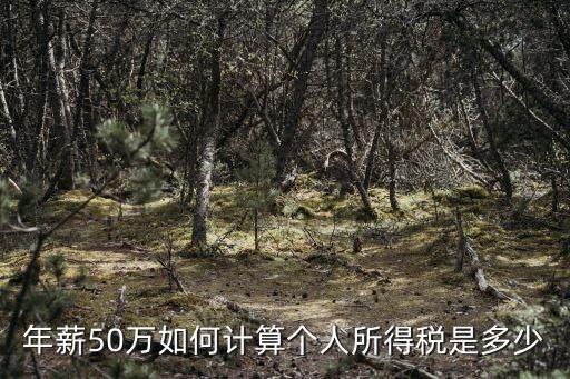 年薪50萬交多少稅，年薪50萬如何計算個人所得稅是多少