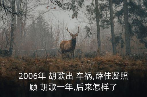 2006年 胡歌出 車禍,薛佳凝照顧 胡歌一年,后來怎樣了